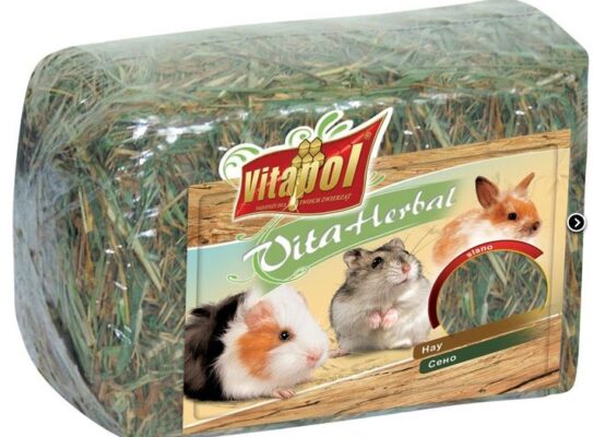 Снимок