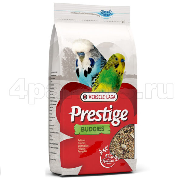 Versele_Laga_Pre_5762b0e206590