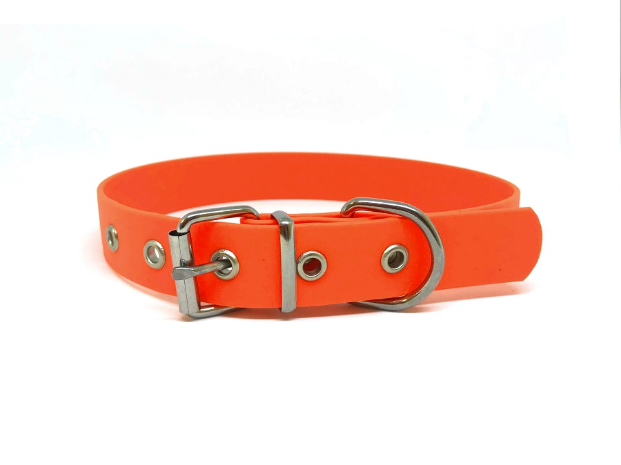 collar-orange_s