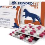 condrovet-force-ha-gatos-45-comprimidos_1_g