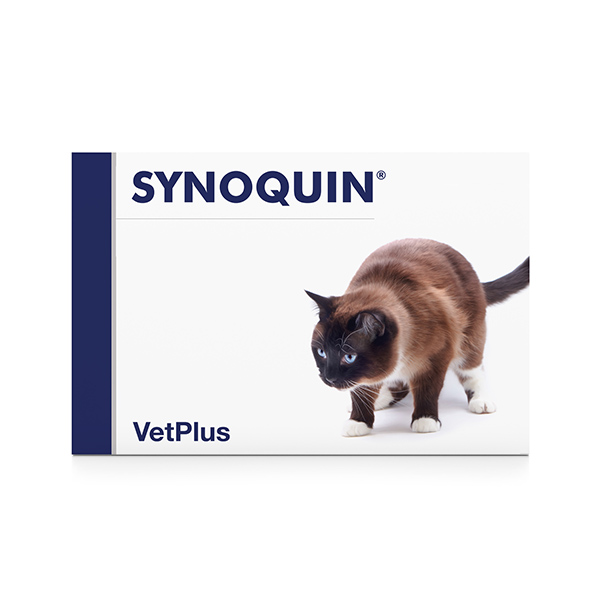 Synoquin-Cat (1)
