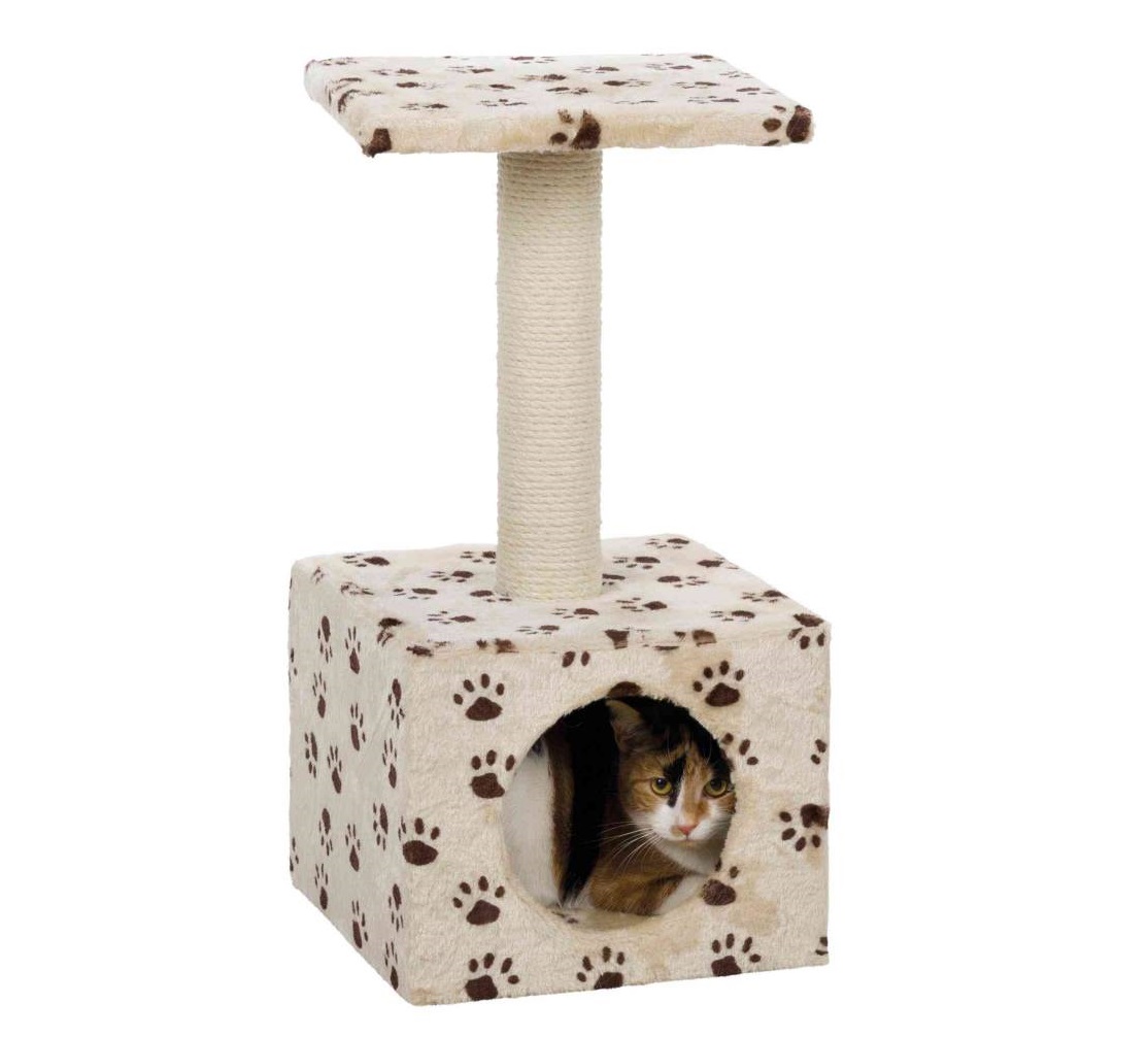 PHO_PRO_CAT_CLIP_43354-1