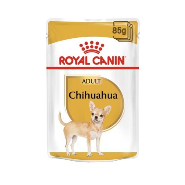 royalcanin-chihuahua