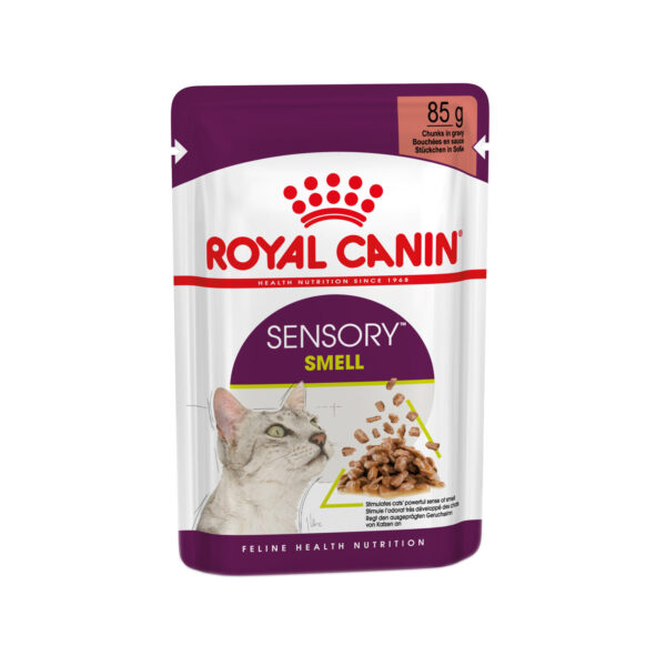 royal_canin_fhn_sensory_smell_in_gravy_183046_1500_none