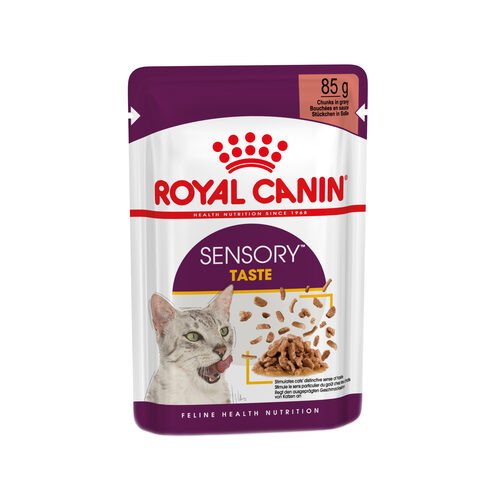 royal_canin_fhn_sensory_taste_in_gravy_183025_0500_none