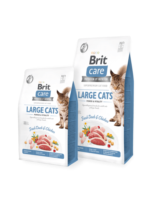 18461_BCC_Dry_food_LARGE_CATS-1-600×800