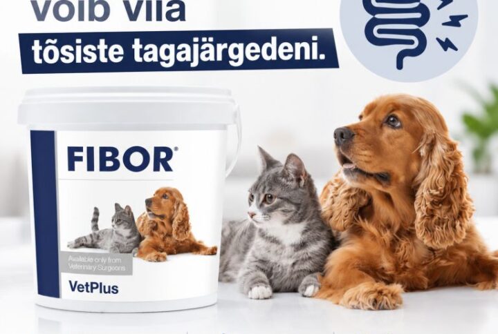 Kõhukinnisus on katastroof!