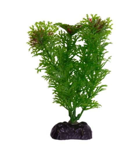 95626f3d-4893-11ed-8088-1c6f65560822_2