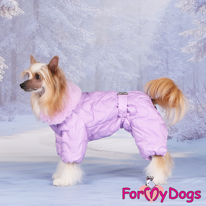 c7f936fb-d28f-11ef-8065-829396d91151_7