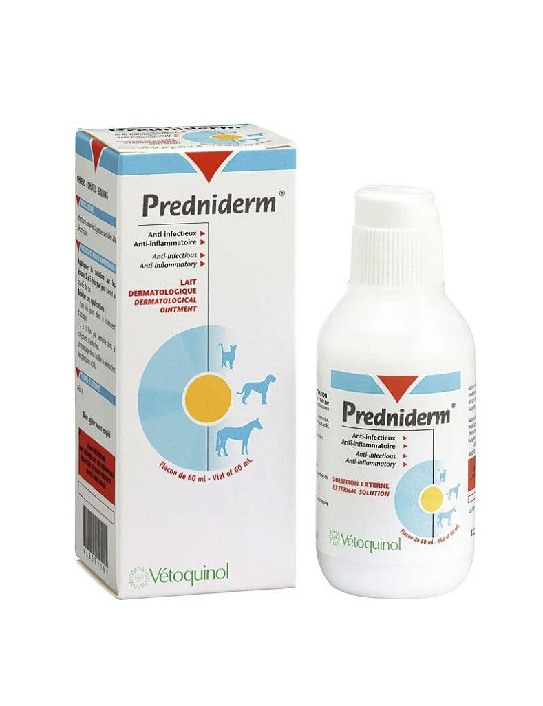 predniderm_web
