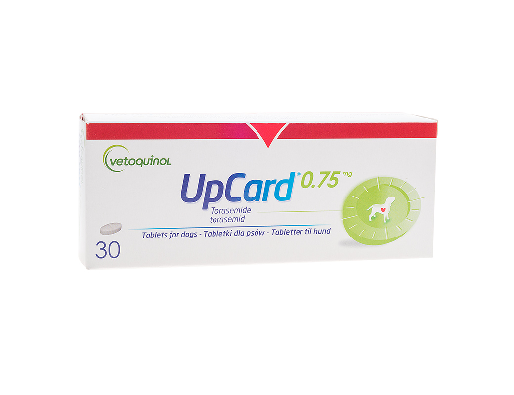 upcard_075-web_DSC6552