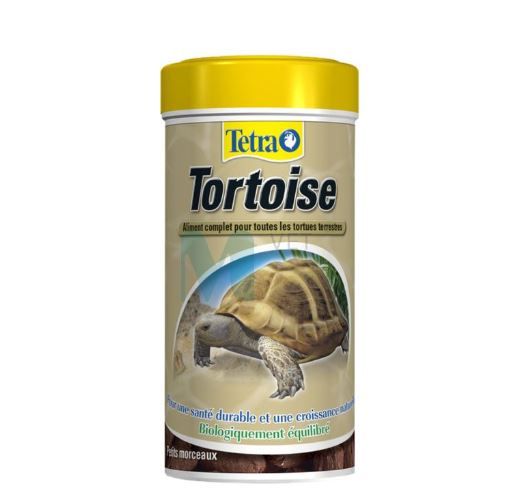 Без названия (10)