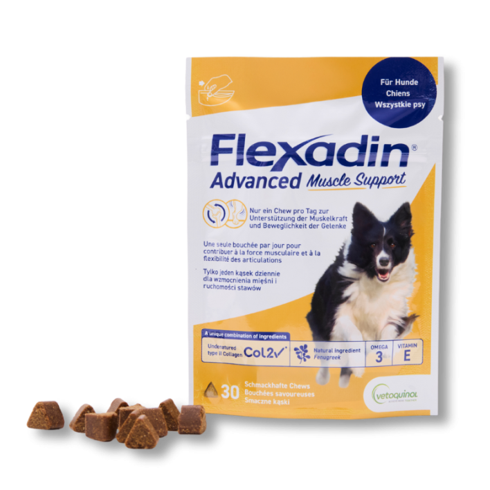 flexadin-advanced-muscle-support-mit-schatten_freigestellt