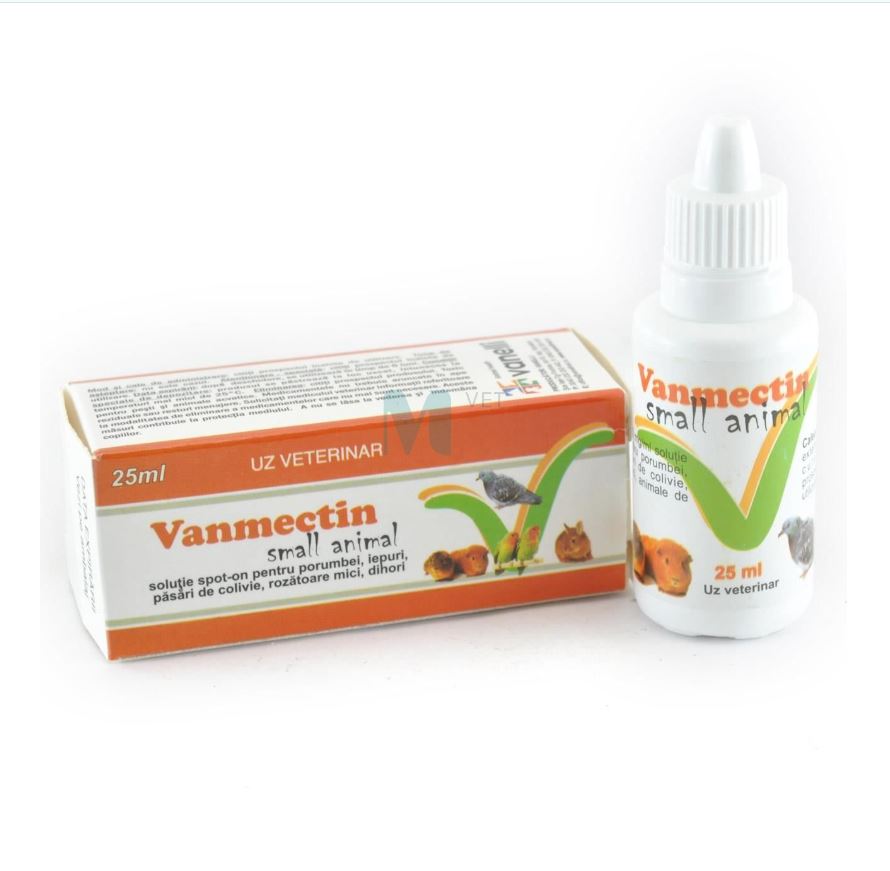 Без названия (1)