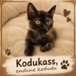 Kodukass, endine kodutu